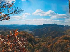-天女山森林公园