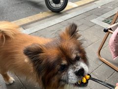 -Joymean coffee.见面咖啡