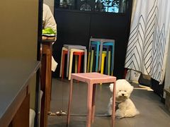 -青春韩国料理(汽博店)