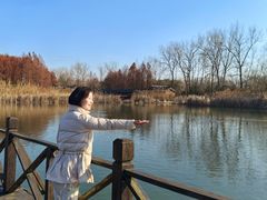 -溱湖国家湿地公园