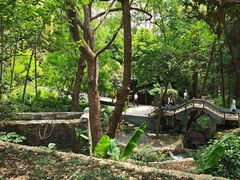 -东明山森林公园