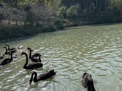-宁波野生动物园