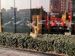 -青岛富力艾美酒店