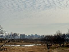 -盘龙城国家考古遗址公园