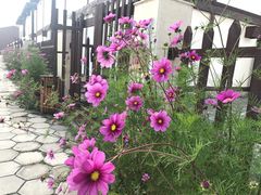 -鬼笑石后山停车场