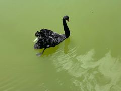 -静之湖度假区