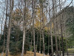 -楠溪江风景名胜区