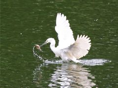 -重庆彩云湖湿地公园