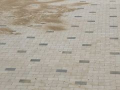 -后襄河公园