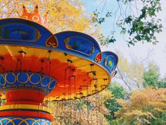 -上海共青森林公园