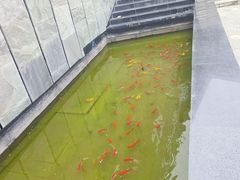 -房山世界地质公园博物馆