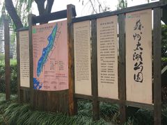 -太湖湖滨国家湿地公园-停车场