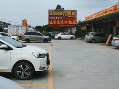 -正宗高流河饭店原创风姜鸡