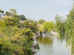 -北京西山国家森林公园