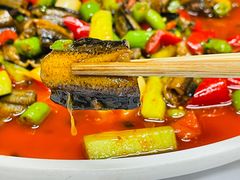 土鳝鱼-同福社