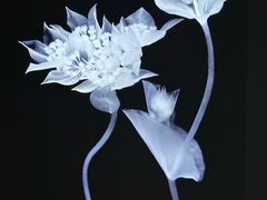 -时代美术馆-成都馆