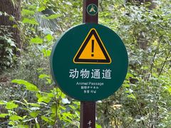 -南湾湖