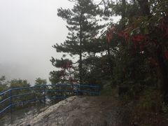 -四明山国家森林公园
