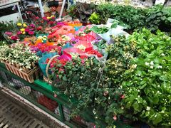 -三旗百汇商品城