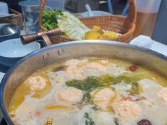 -濠七糟粕醋•海南酸汤火锅(中关村店)
