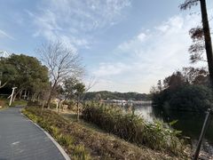 -新江湾城公园