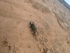 -山西乌金山旅游区