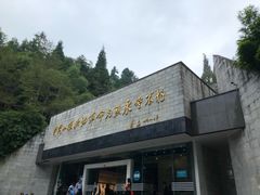 -井冈山革命烈士陵园