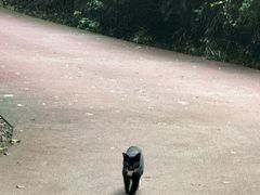 -敬亭山风景名胜区