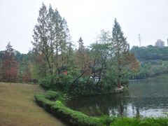 -重庆彩云湖湿地公园