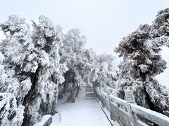 -南岳衡山风景名胜区