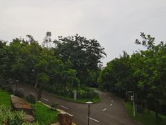 -深圳国际园林花卉博览园