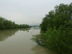 -崖口红树林海鲜餐厅