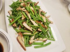 -丁老爷子苏香圆