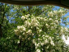 -南戴河国际娱乐中心