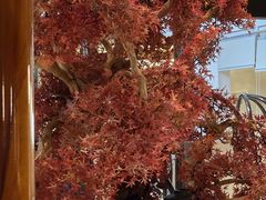 -芸南道·过桥米线(昆明老街旗舰店)