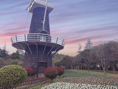 -上海鲜花港