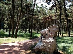 -山东大学(威海校区)