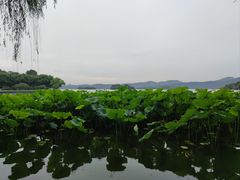 -西湖游船