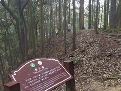 -缙云山景区