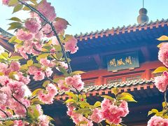 -堤角公园