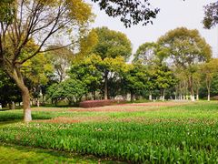 -上海鲜花港