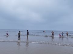 -日照海滨国家森林公园