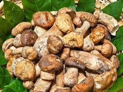 -黔蘑菇四季餐厅(观山湖店)