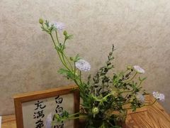 -月迷津渡(吾悦国际店)