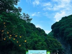 -少华山国家森林公园