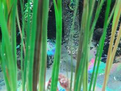 -沈阳海洋探索中心