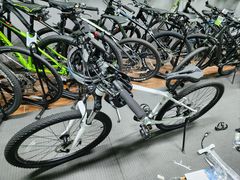 -道路口单车爱瓦士dahon大行