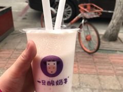-一只酸奶牛(奎星楼店)