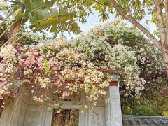 -深圳国际园林花卉博览园