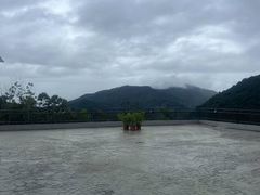 -呀诺达热带雨林